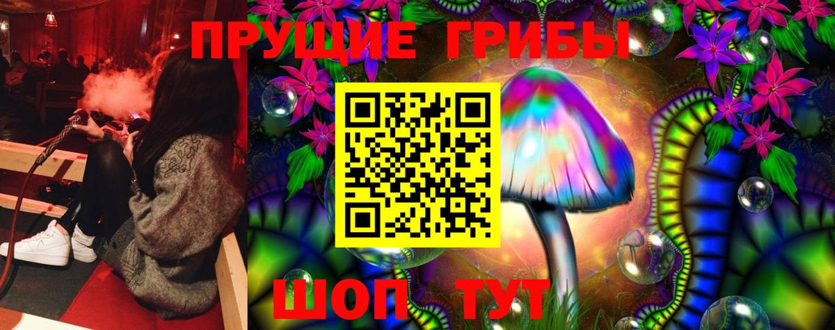 Псилоцибиновые грибы Psilocybine cubensis Верхняя Салда