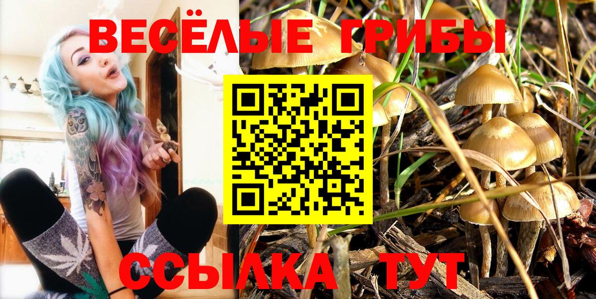 Верхняя Салда  Галлюциногенные грибы ЛСД  Вход с VPN  Псилоцибиновые грибы Cubensis 